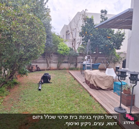 מכונת נשיפה על דשא ליד עצים בגינה